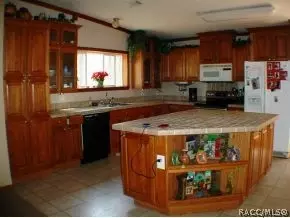 1744 N Mooneys Pt, Hernando, FL 34442 photo 2