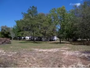 1000 E Lasalle St, Hernando, FL 34442 photo 4