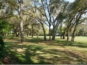 144 E Hartford St, Hernando, FL 34442 photo 6