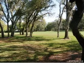 144 E Hartford St, Hernando, FL 34442 photo 7