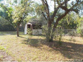 14023 Higgins St, Spring Hill, FL 34609 photo 14