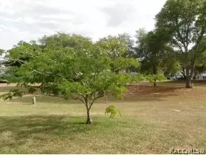 2338 N Alachua Pt, Hernando, FL 34442 photo 14