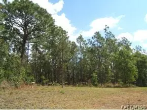 1859 W Tacoma St, Hernando, FL 34442 photo 23
