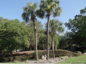 1269 E Silverthorn Loop, Hernando, FL 34442 photo 17