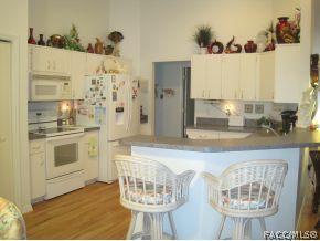 1910 W Pickett Ct, Hernando, FL 34442 photo 6