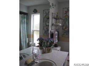 1910 W Pickett Ct, Hernando, FL 34442 photo 11