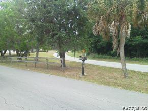 8599 E Hampton Pt, Inverness, FL 34450 photo 18