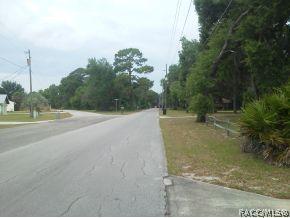8599 E Hampton Pt, Inverness, FL 34450 photo 19