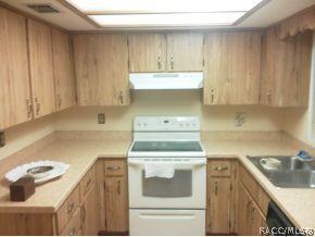 8599 E Hampton Pt, Inverness, FL 34450 photo 7