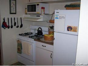 29067 Thackeray St, Nobleton, FL 34661 photo 15