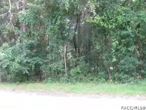 309 W Harvard St, Inverness, FL 34452 photo 1