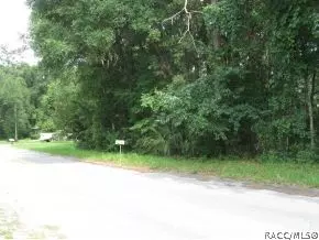 309 W Harvard St, Inverness, FL 34452 photo 3