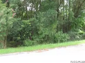 309 W Harvard St, Inverness, FL 34452 photo 4