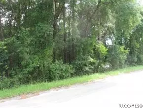 309 W Harvard St, Inverness, FL 34452 photo 5