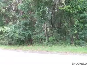 309 W Harvard St, Inverness, FL 34452 photo 2