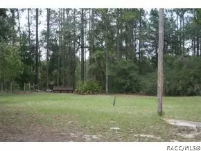 11451 E Hwy 40, Inglis, FL 34449 photo 4