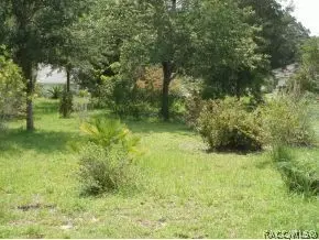 2793 N Folkestone Loop, Hernando, FL 34442 photo 24