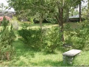 2793 N Folkestone Loop, Hernando, FL 34442 photo 23