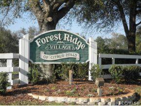 864 W Cockatiel Loop, Hernando, FL 34442 photo 24