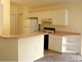 864 W Cockatiel Loop, Hernando, FL 34442 photo 3