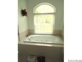 8074 N Howard Hughes Way, Hernando, FL 34442 photo 18