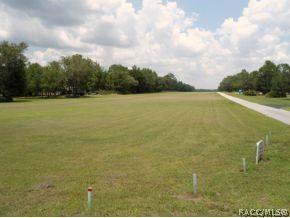 8074 N Howard Hughes Way, Hernando, FL 34442 photo 3