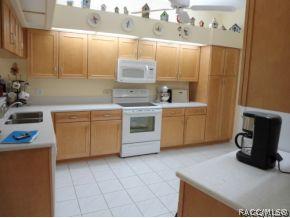 8074 N Howard Hughes Way, Hernando, FL 34442 photo 9