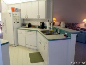 316 N Turkey Pine Loop, Lecanto, FL 34461 photo 4