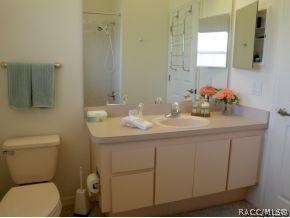 316 N Turkey Pine Loop, Lecanto, FL 34461 photo 11