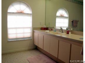 316 N Turkey Pine Loop, Lecanto, FL 34461 photo 20