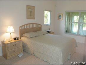 316 N Turkey Pine Loop, Lecanto, FL 34461 photo 23