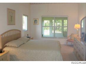 316 N Turkey Pine Loop, Lecanto, FL 34461 photo 22