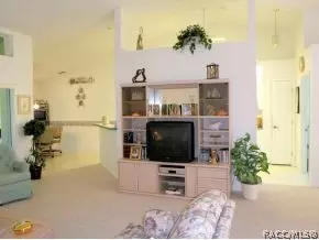 316 N Turkey Pine Loop, Lecanto, FL 34461 photo 9