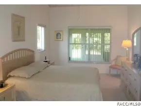 316 N Turkey Pine Loop, Lecanto, FL 34461 photo 22