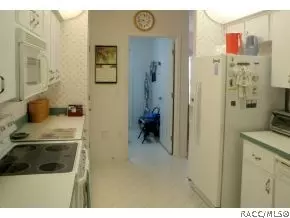 316 N Turkey Pine Loop, Lecanto, FL 34461 photo 6