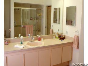 316 N Turkey Pine Loop, Lecanto, FL 34461 photo 21