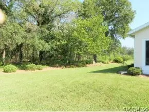 316 N Turkey Pine Loop, Lecanto, FL 34461 photo 24