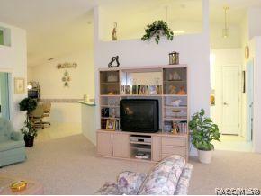 316 N Turkey Pine Loop, Lecanto, FL 34461 photo 9