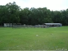 6551 NE 160th Ave, Williston, FL 32696 photo 3