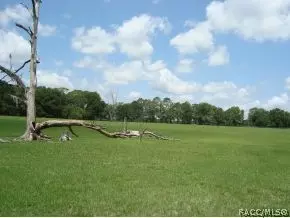 6551 NE 160th Ave, Williston, FL 32696 photo 6