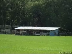 6551 NE 160th Ave, Williston, FL 32696 photo 5