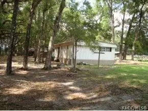 6551 NE 160th Ave, Williston, FL 32696 photo 8