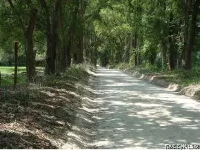 6551 NE 160th Ave, Williston, FL 32696 photo 9