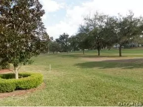 652 E Falconry Ct, Hernando, FL 34442 photo 15