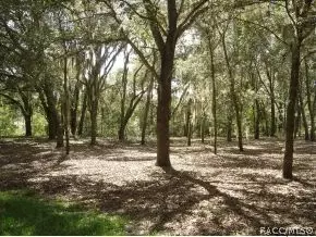 1300 N Circus Ter, Hernando, FL 34442 photo 20