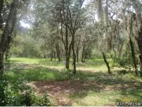 202 N Indianapolis Ave, Hernando, FL 34442 photo 2