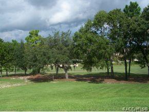 1974 Ramblewood, Hernando, FL 34442 photo 21