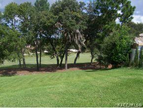 1974 Ramblewood, Hernando, FL 34442 photo 22