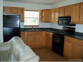 5870 N Tsala Apopka Dr, Hernando, FL 34442 photo 8