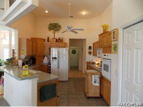 407 W Mickey Mantle, Hernando, FL 34442 photo 7